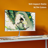 Zebronics A25FHD LED FHD Monitor (100Hz)