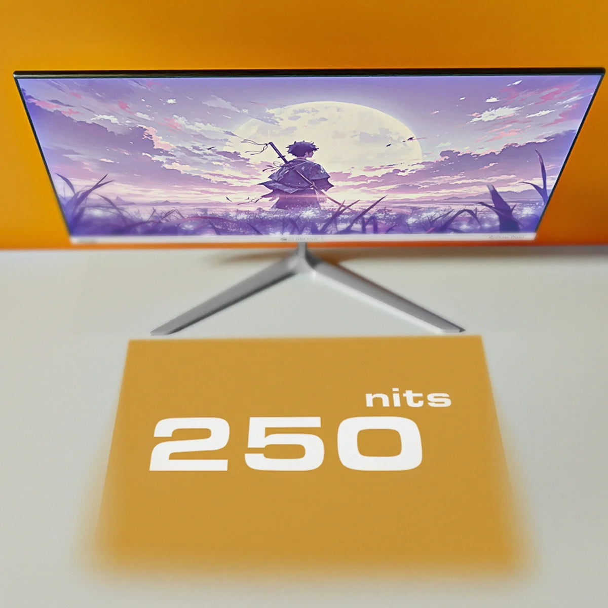 Zebronics A25FHD LED FHD Monitor (100Hz)