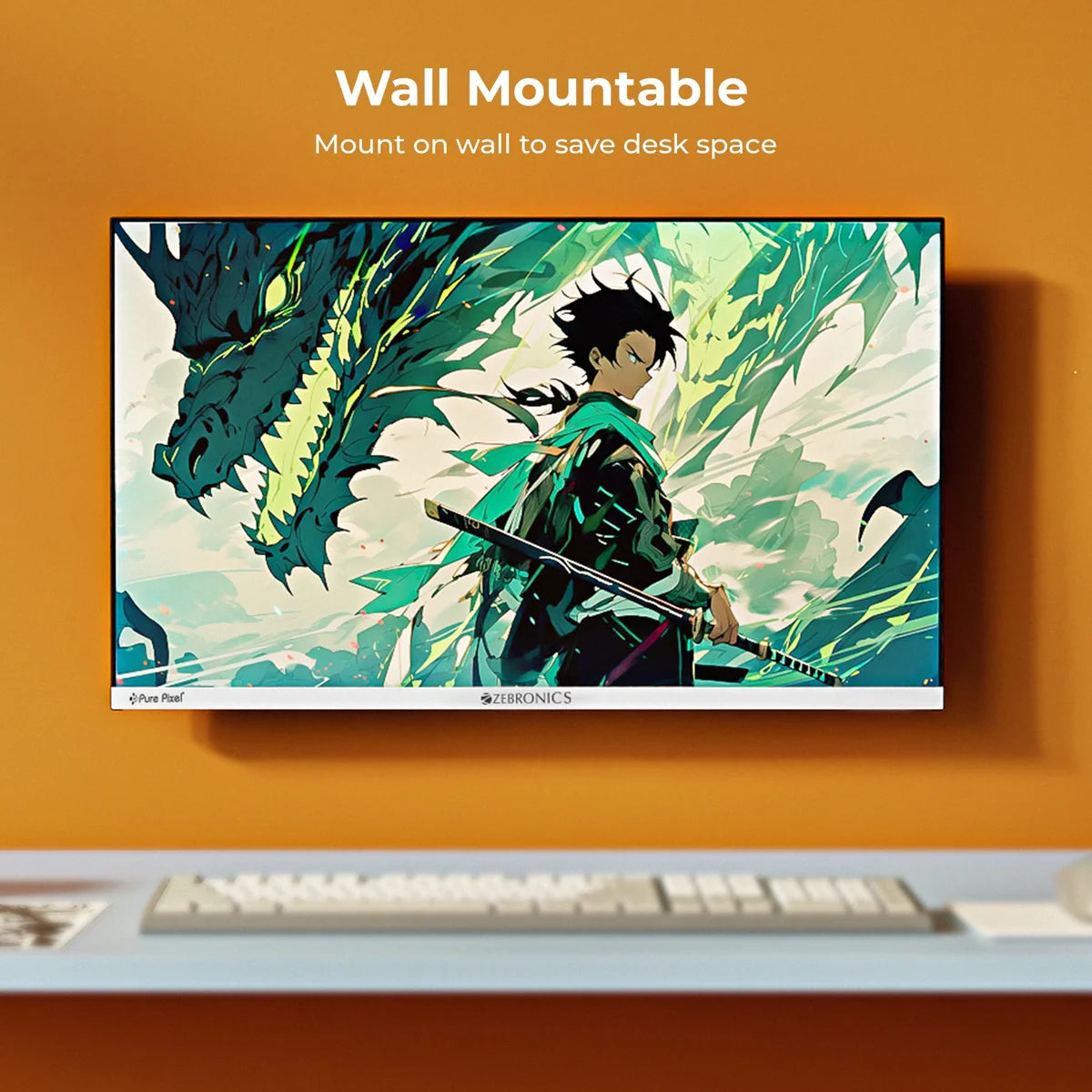 Zebronics A25FHD LED FHD Monitor (100Hz)